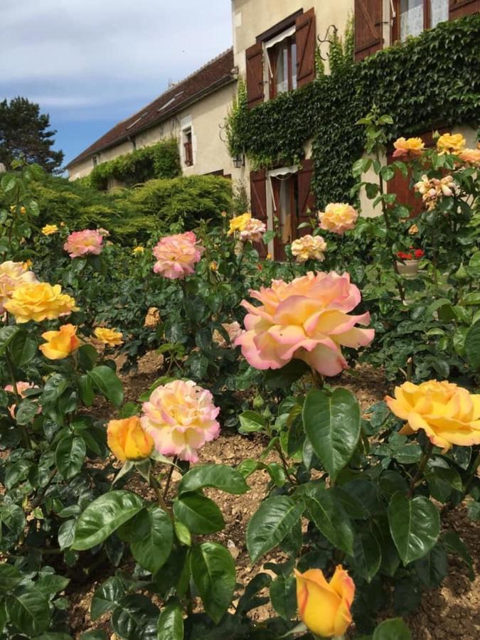 Entre Canal Et Vignes Bed and Breakfast Escolives-Sainte-Camille Exteriör bild